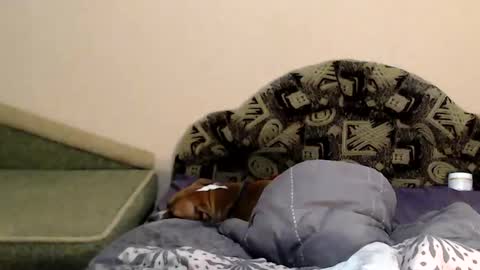 Taya online show from 4, 2, 2025