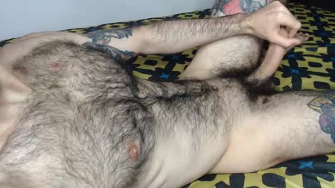 Taylor online show from 9, 1, 2026