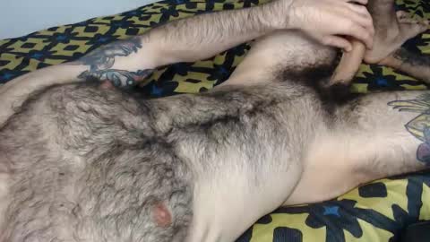 Taylor online show from 15, 1, 2026