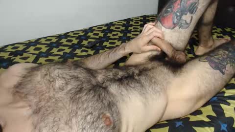 Taylor online show from 15, 1, 2026