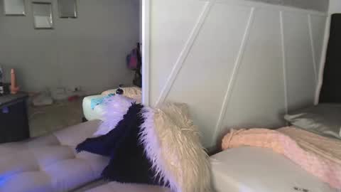 Taylor 3 online show from 14, 11, 2025