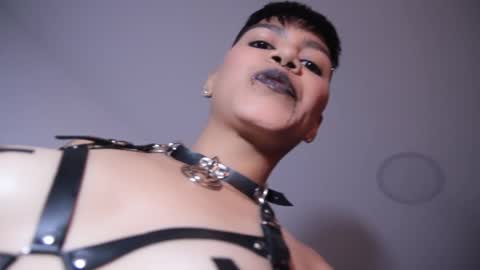 Taylor online show from 16, 12, 2024