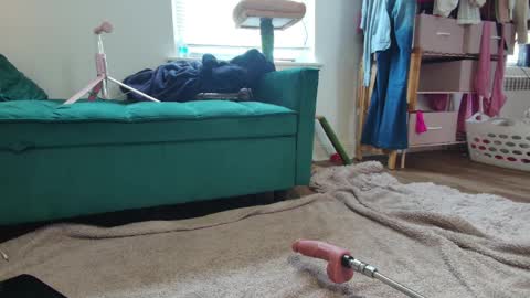 Taylor online show from 5, 4, 2026