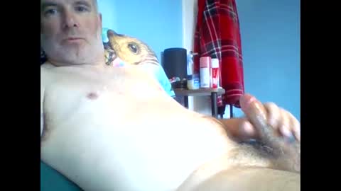 tazo78 online show from 9, 11, 2025