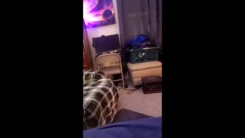 tedestep2 online show from 16, 4, 2026