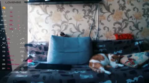 Ada  online show from 19, 12, 2025