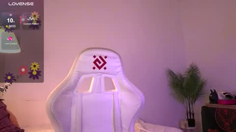 Amina online show from 4, 12, 2025