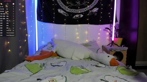 TeRefur online show from 26, 12, 2024