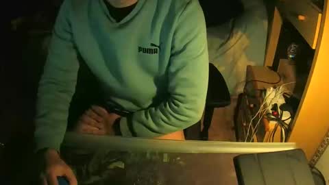 terwosdex online show from 13, 1, 2026