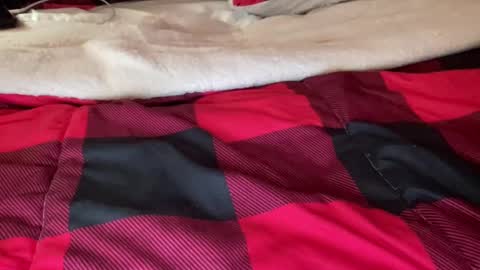 Derick online show from 6, 12, 2024