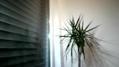 Snapshot of tger2024 chatting on 3, 11, 2025 tger2024 online show from 3, 11, 2025