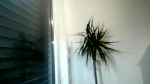 Snapshot of tger2024 chatting on 1, 12, 2025 tger2024 online show from 1, 12, 2025