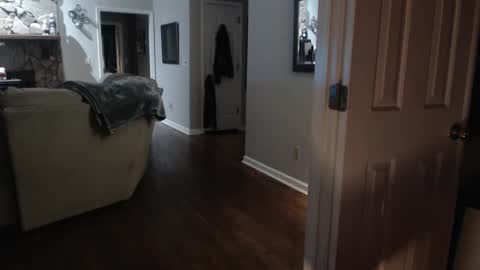 Brooklyn online show from 8, 1, 2025