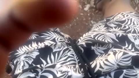 thatoneguy2802 online show from 17, 1, 2026