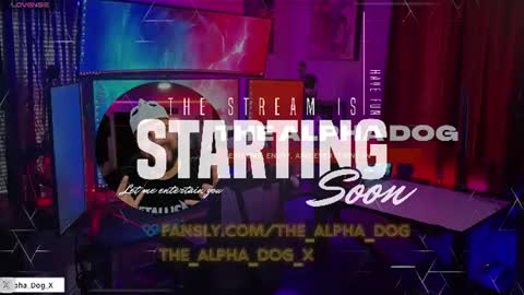Snapshot of the_alpha_dog_xxx chatting on 29, 6, 2026 the_alpha_dog_xxx online show from 29, 6, 2026