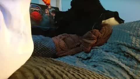 GIORGGIO online show from 10, 4, 2026