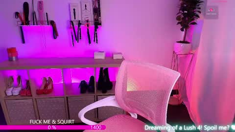 i am Cat  online show from 29, 4, 2026