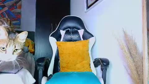 the dog lian online show from 14, 7, 2026
