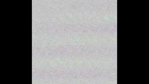 the_lesbian_game online show from 19, 10, 2025