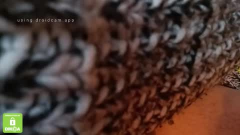 Snapshot of the_real_handjob_couple chatting on 4, 2, 2026 The Real Hanjob Couple online show from 4, 2, 2026