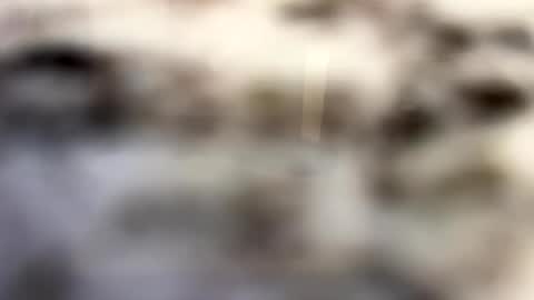 Snapshot of thebodythefeet chatting on 4, 1, 2025 thebodythefeet online show from 4, 1, 2025