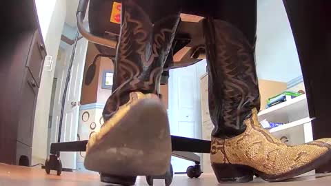 thecowboy_74 online show from 19, 11, 2025