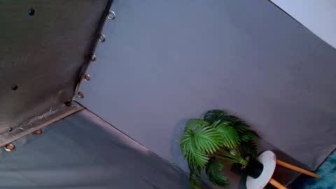 Snapshot of thedevil_inme chatting on 13, 12, 2024 Lana But you can spell it backwards online show from 13, 12, 2024