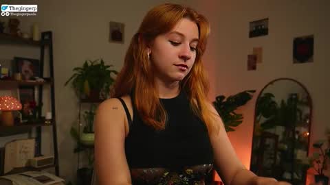   Streaming mostly at    online show from 26, 3, 2026