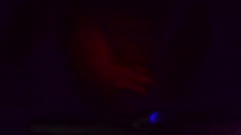 thegreat6268469 online show from 8, 3, 2025