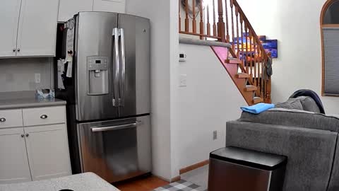 thegreat6268469 online show from 26, 9, 2025