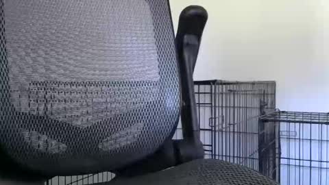 themaneb online show from 23, 10, 2025