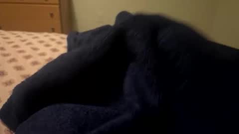 theplummer99 online show from 4, 12, 2025