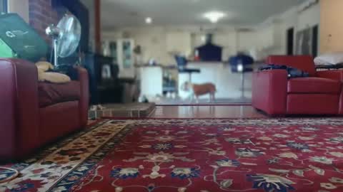 Snapshot of therealkurva4u chatting on 8, 2, 2025 therealkurva4u online show from 8, 2, 2025