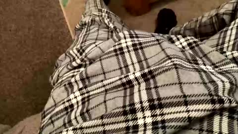 Snapshot of therealpietro77 chatting on 5, 2, 2026 therealpietro77 online show from 5, 2, 2026