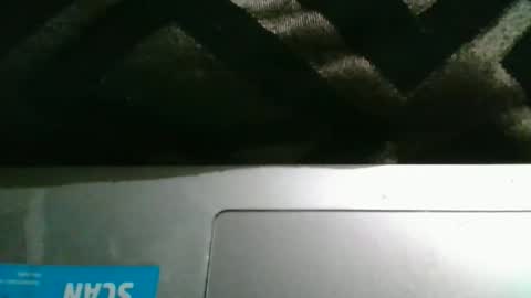 therealstackz69 online show from 26, 3, 2026