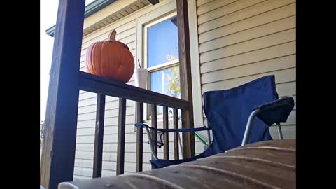 Snapshot of therizzler_1_of_1 chatting on 22, 10, 2025 therizzler_1_of_1 online show from 22, 10, 2025