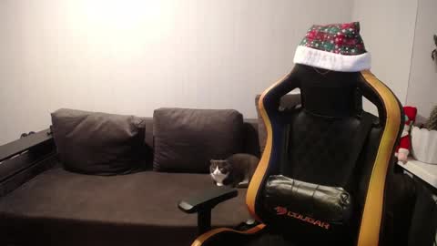 Nick   online show from 27, 12, 2024