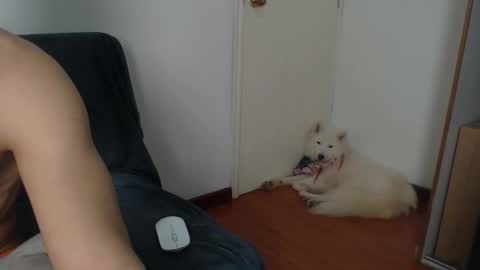 thesaint_xxx online show from 8, 11, 2025