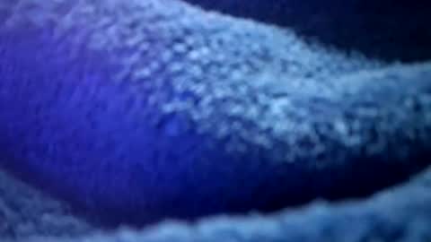 Snapshot of thetasigma69 chatting on 16, 2, 2026 that would be telling online show from 16, 2, 2026