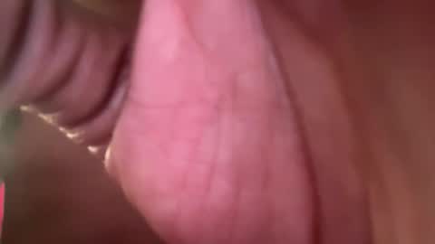 Snapshot of thetwomaskedbandits chatting on 7, 4, 2026 thetwomaskedbandits online show from 7, 4, 2026