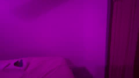 The Wild Wonderland online show from 18, 1, 2026