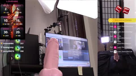 The Willow Fox online show from 28, 1, 2025