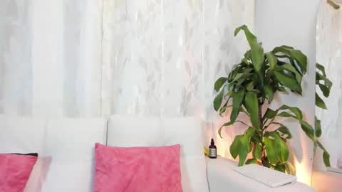 Thiago  online show from 3, 2, 2026