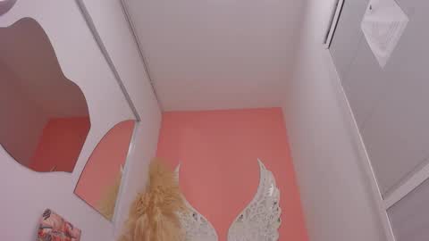 Lexxy online show from 2, 2, 2026