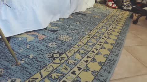 Snapshot of thongmuscle chatting on 27, 2, 2025 ThongMuscle online show from 27, 2, 2025