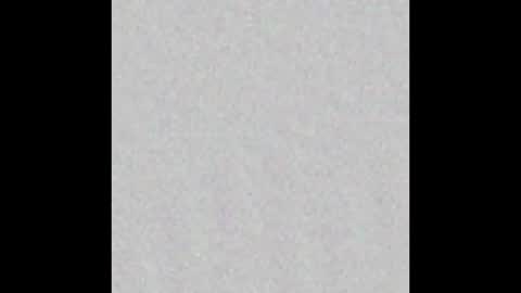 Reece online show from 27, 11, 2025