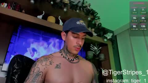 Snapshot of tigerstripes_ chatting on 8, 1, 2025 Chris online show from 8, 1, 2025