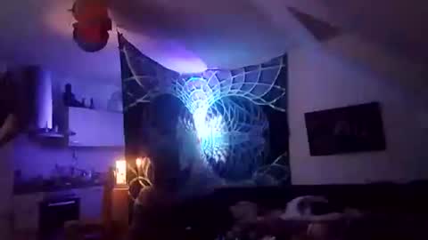 tigertrance online show from 2, 12, 2025