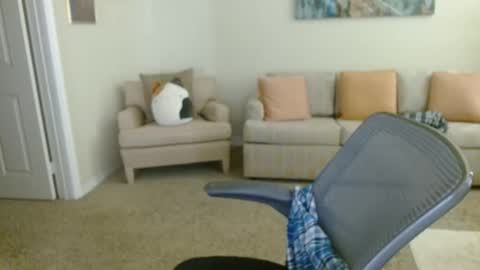 timealone120000 online show from 11, 1, 2026