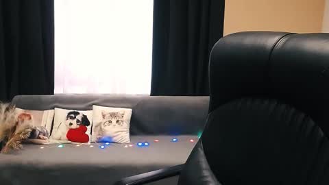 Luisa online show from 14, 11, 2025